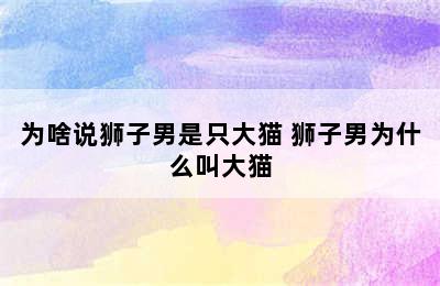 为啥说狮子男是只大猫 狮子男为什么叫大猫